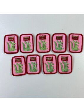 Girl Scout Cookies 1975 Embroidered Badges Patch Lot Lot Pink Green Collectible